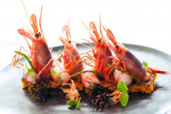 Acheter des gambas de qualité  
