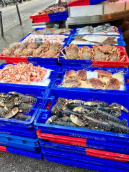 Restaurant de poissons proposant des produits d'exception  