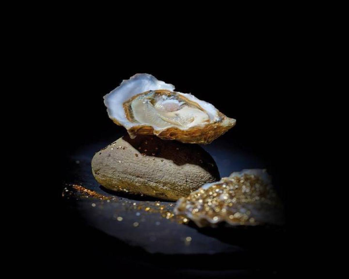 Livraison de poissons frais et fruits de mer
